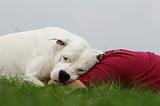 ADULTE ET CHIEN 376